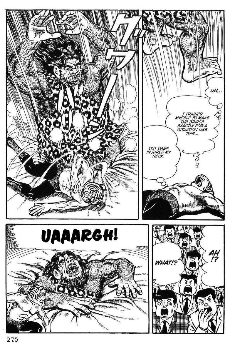 Tiger Mask 12 16