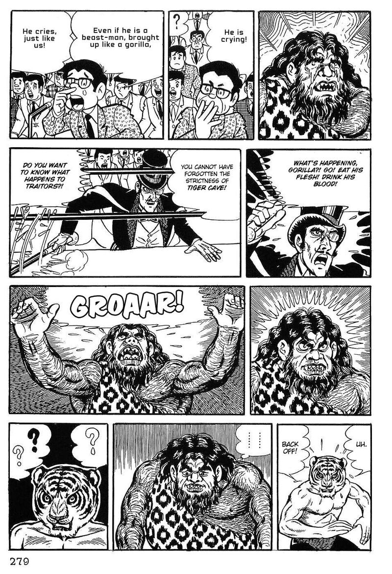 Tiger Mask 12 20