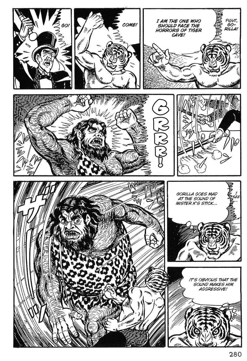 Tiger Mask 12 21