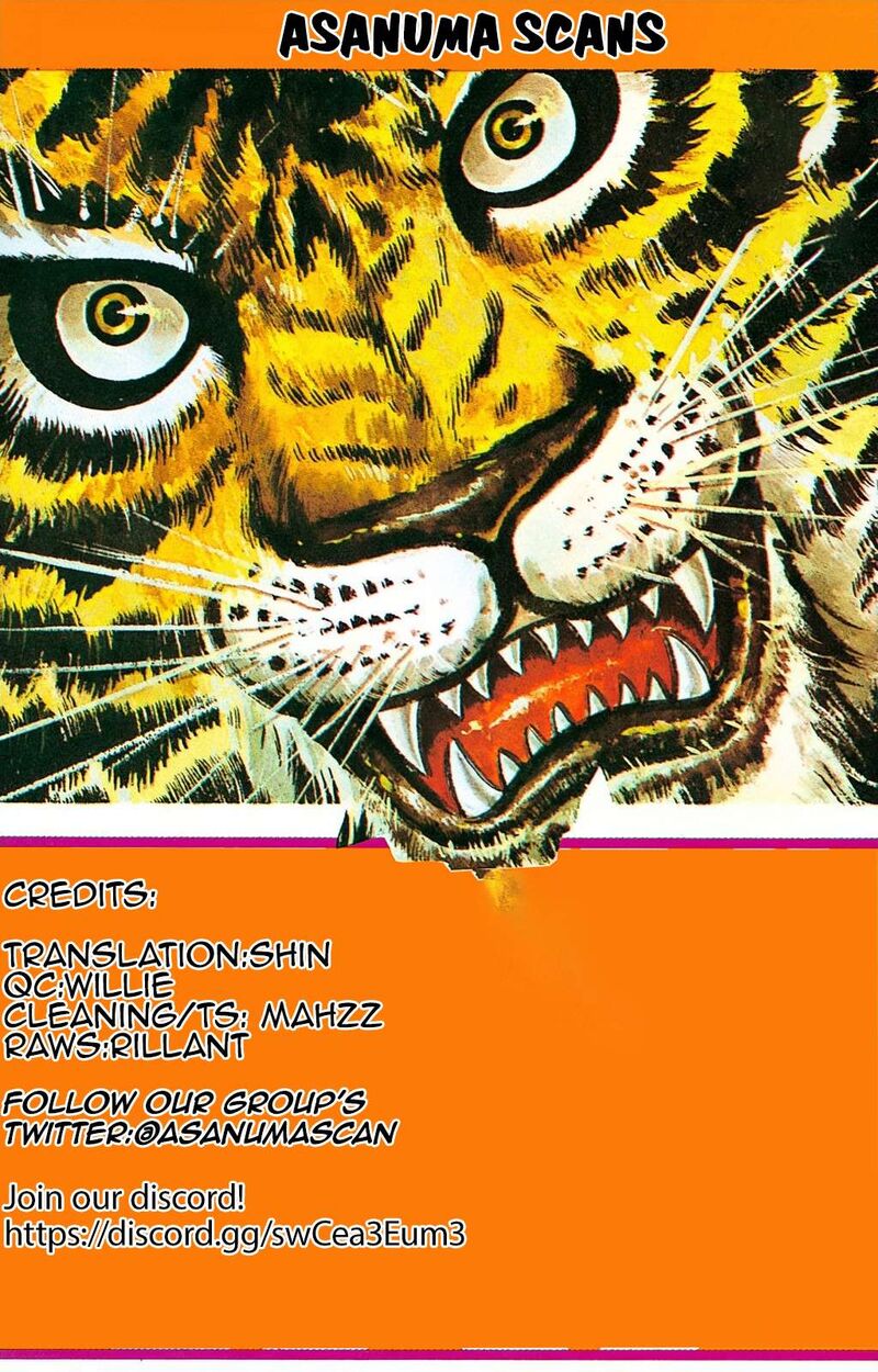 Tiger Mask 12 22