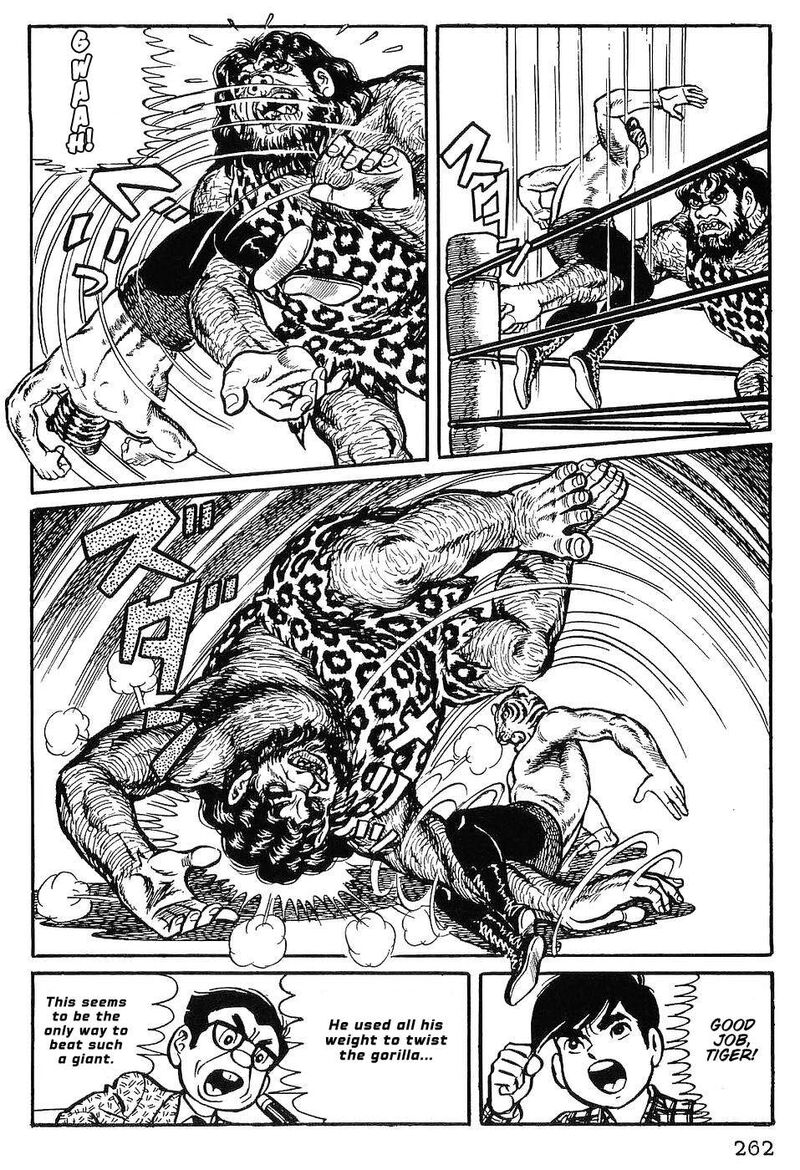 Tiger Mask 12 3
