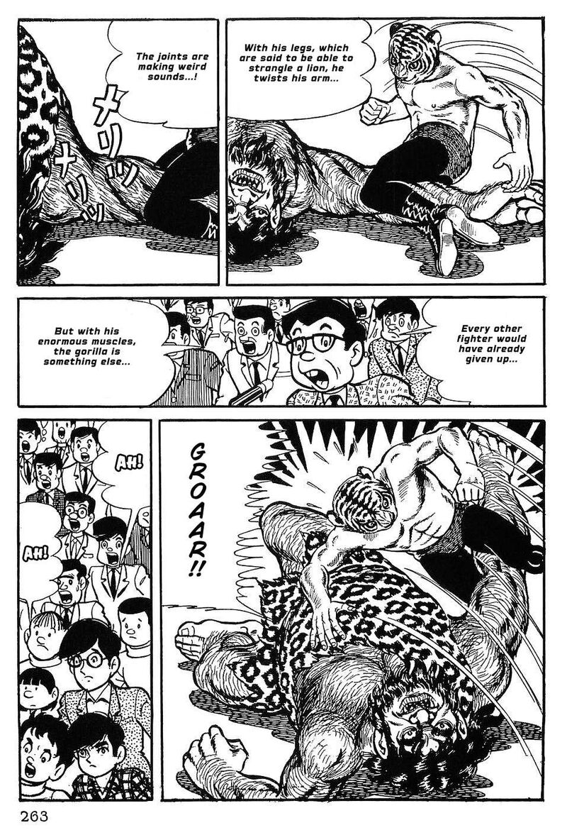 Tiger Mask 12 4