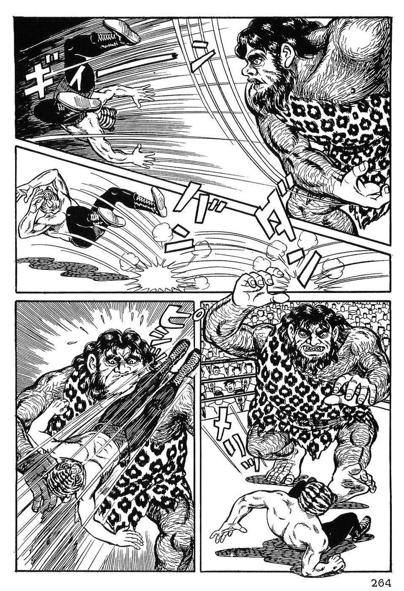 Tiger Mask 12 5