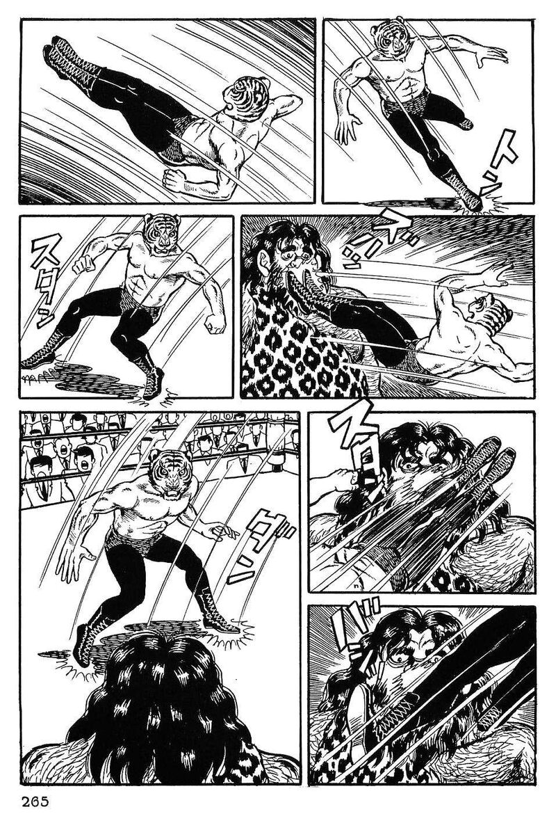 Tiger Mask 12 6