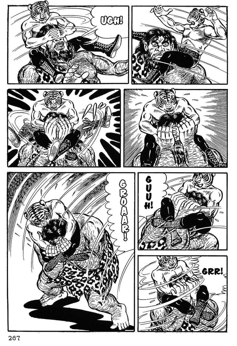 Tiger Mask 12 8