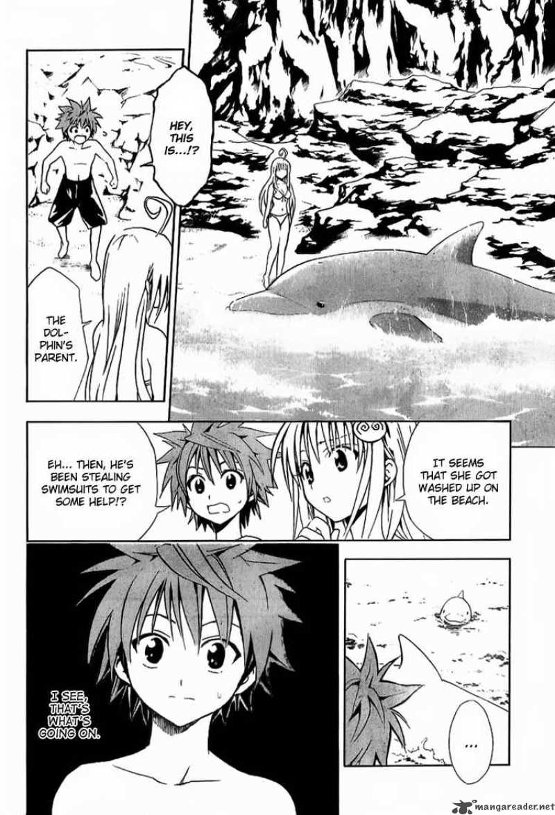 To Love Ru 17 17