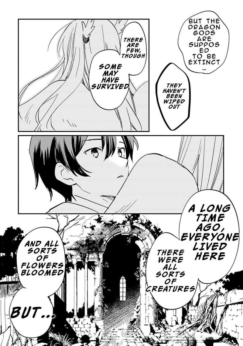 Tokage Hontou Wa Shinryuu Wo Shoukan Shita Seijuu Tsukai Ryuu No Senaka De Kaitaku Life 1 72