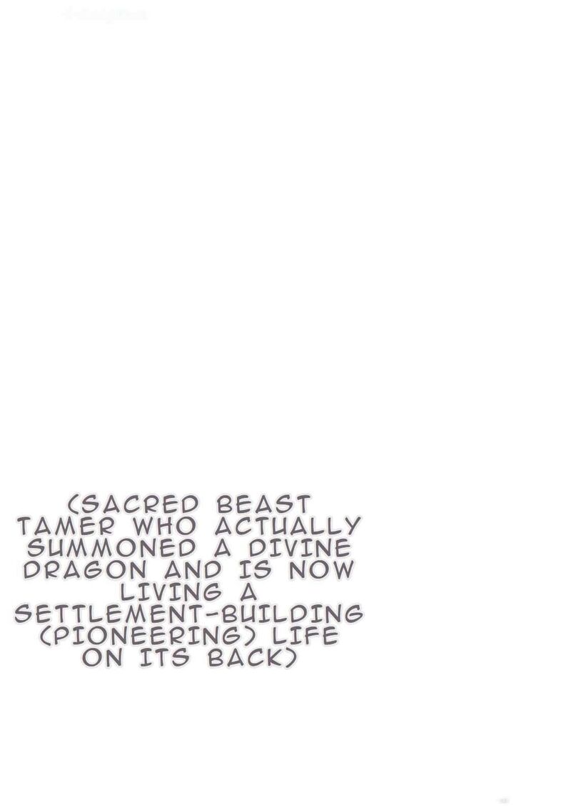 Tokage Hontou Wa Shinryuu Wo Shoukan Shita Seijuu Tsukai Ryuu No Senaka De Kaitaku Life 1 82