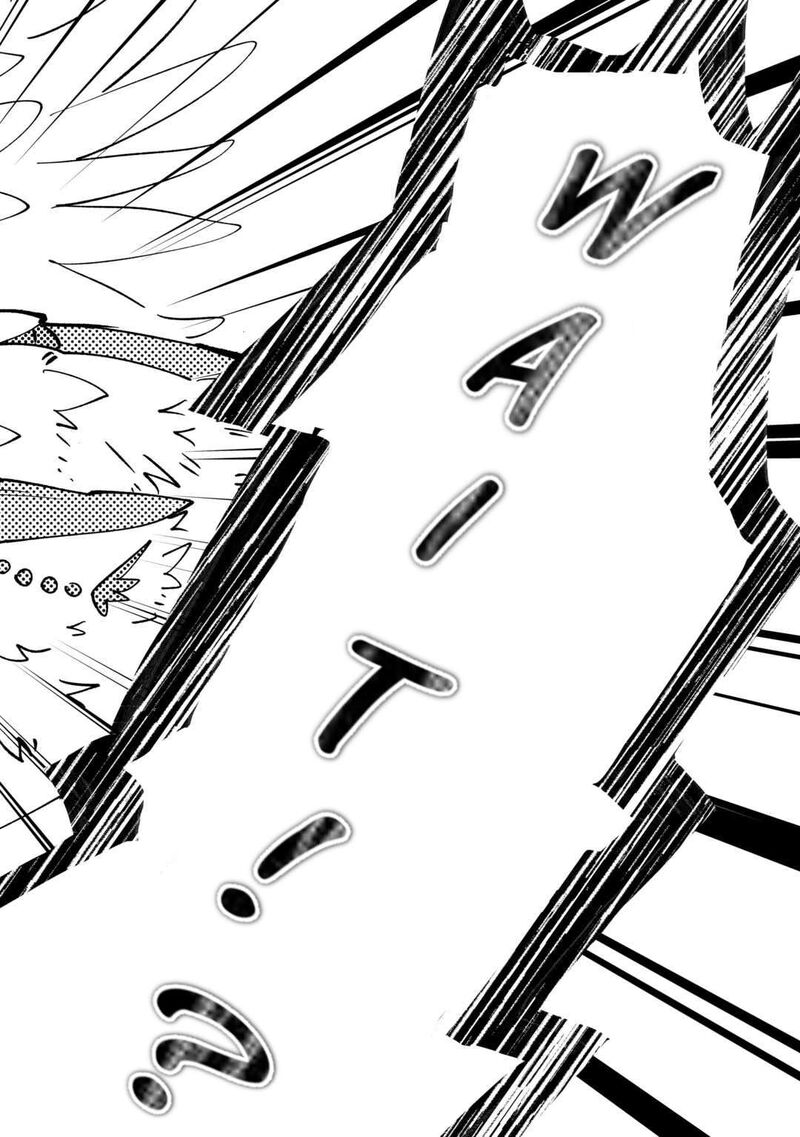 Tokage Hontou Wa Shinryuu Wo Shoukan Shita Seijuu Tsukai Ryuu No Senaka De Kaitaku Life 14 6