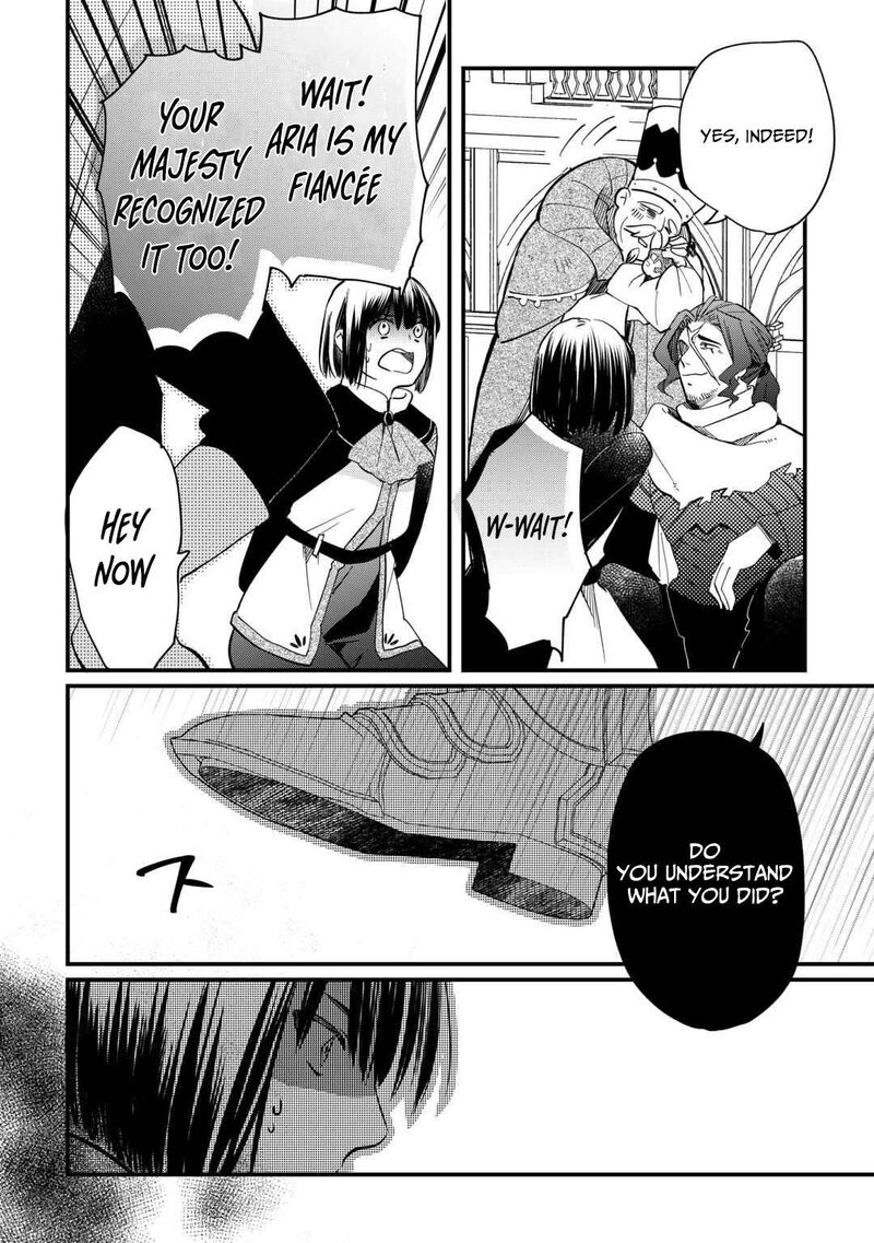 Tokage Hontou Wa Shinryuu Wo Shoukan Shita Seijuu Tsukai Ryuu No Senaka De Kaitaku Life 19 23