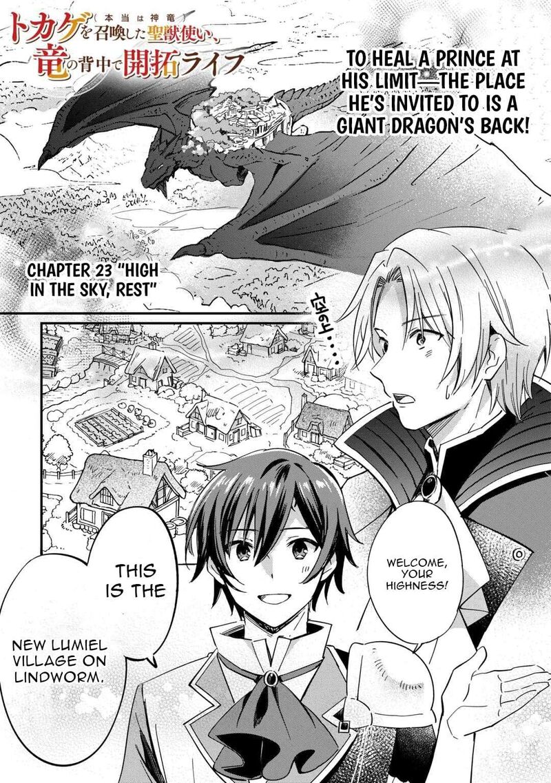 Tokage Hontou Wa Shinryuu Wo Shoukan Shita Seijuu Tsukai Ryuu No Senaka De Kaitaku Life 23 1