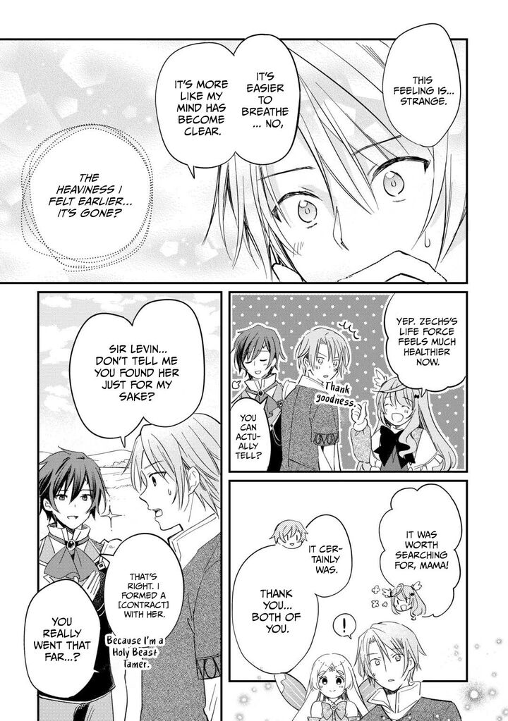 Tokage Hontou Wa Shinryuu Wo Shoukan Shita Seijuu Tsukai Ryuu No Senaka De Kaitaku Life 24 12
