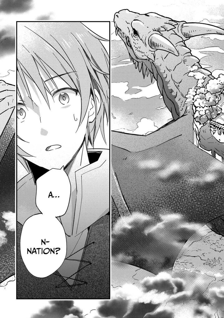 Tokage Hontou Wa Shinryuu Wo Shoukan Shita Seijuu Tsukai Ryuu No Senaka De Kaitaku Life 24 18