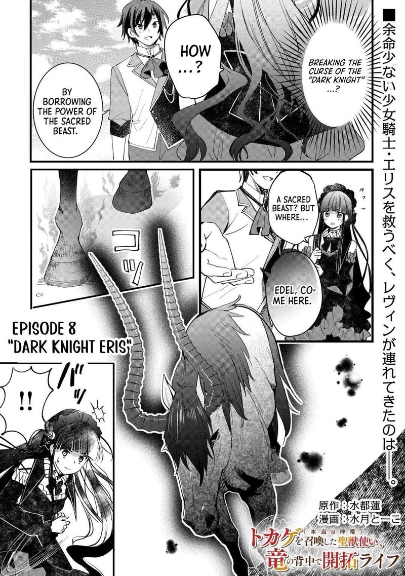 Tokage Hontou Wa Shinryuu Wo Shoukan Shita Seijuu Tsukai Ryuu No Senaka De Kaitaku Life 8 1