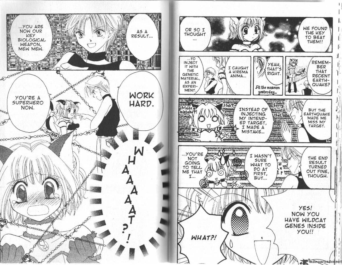 Tokyo Mew Mew 1 26