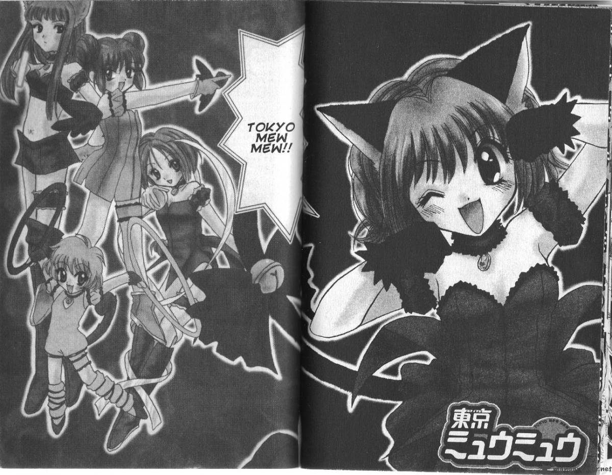 Tokyo Mew Mew 11 17