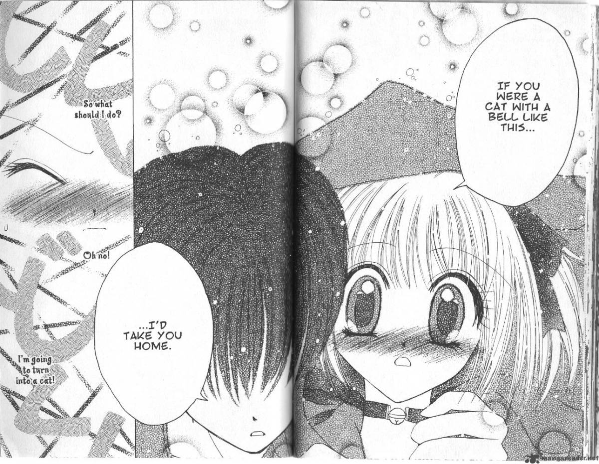 Tokyo Mew Mew 12 14