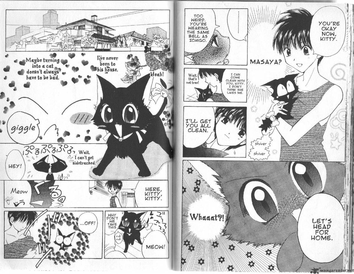 Tokyo Mew Mew 12 17