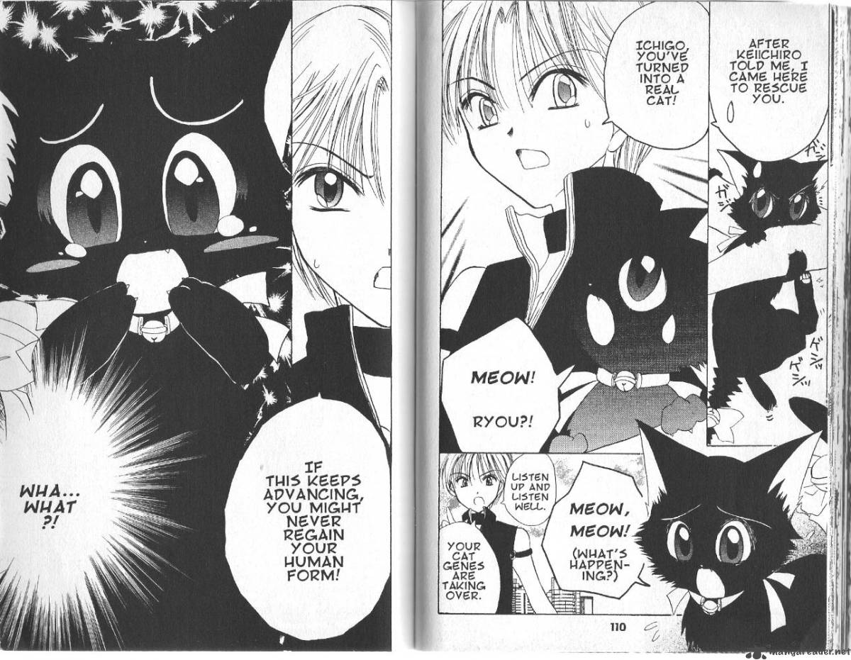 Tokyo Mew Mew 12 19