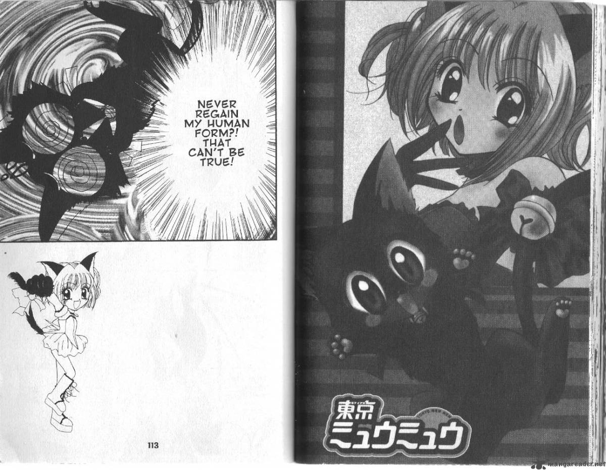 Tokyo Mew Mew 12 20