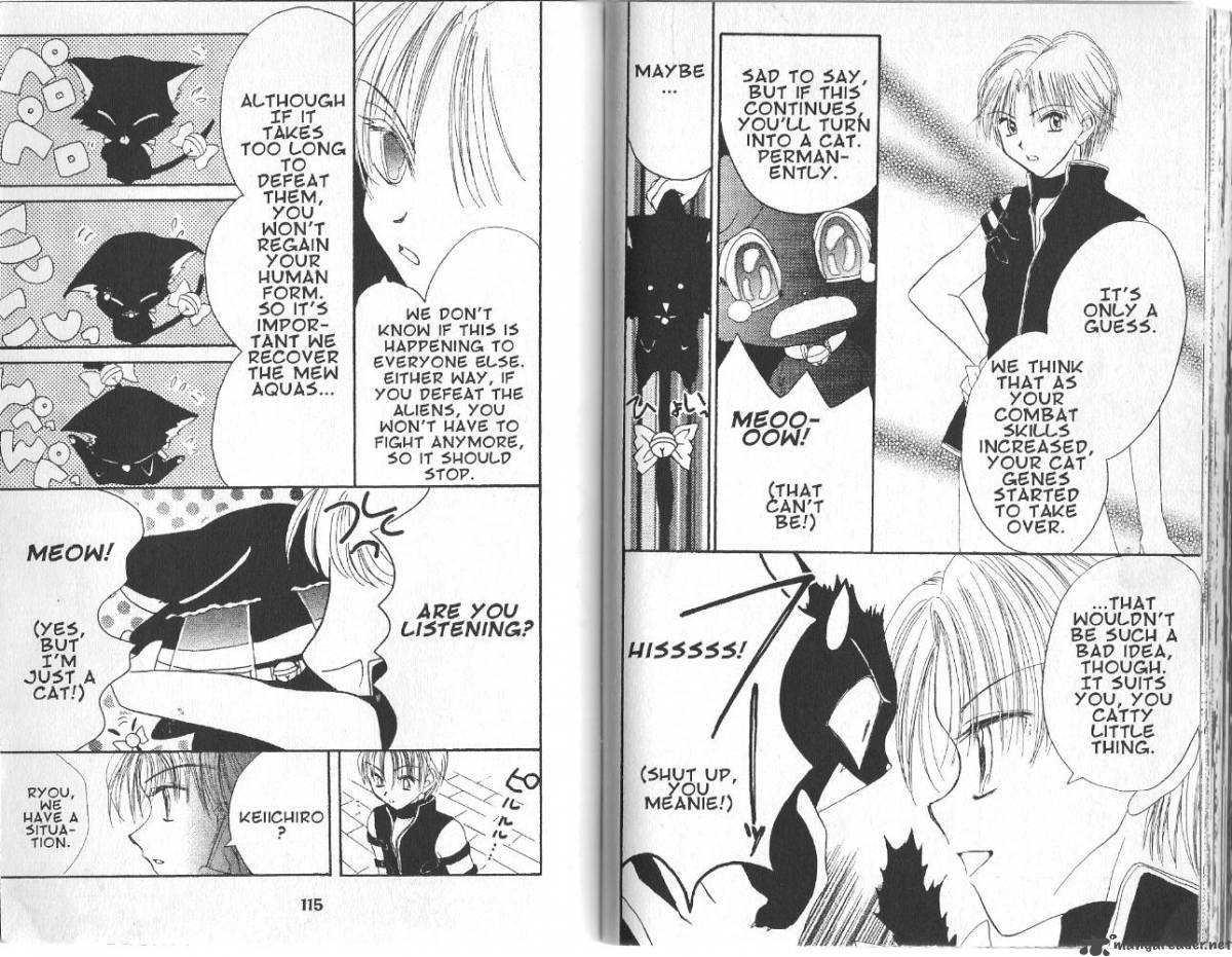 Tokyo Mew Mew 13 1