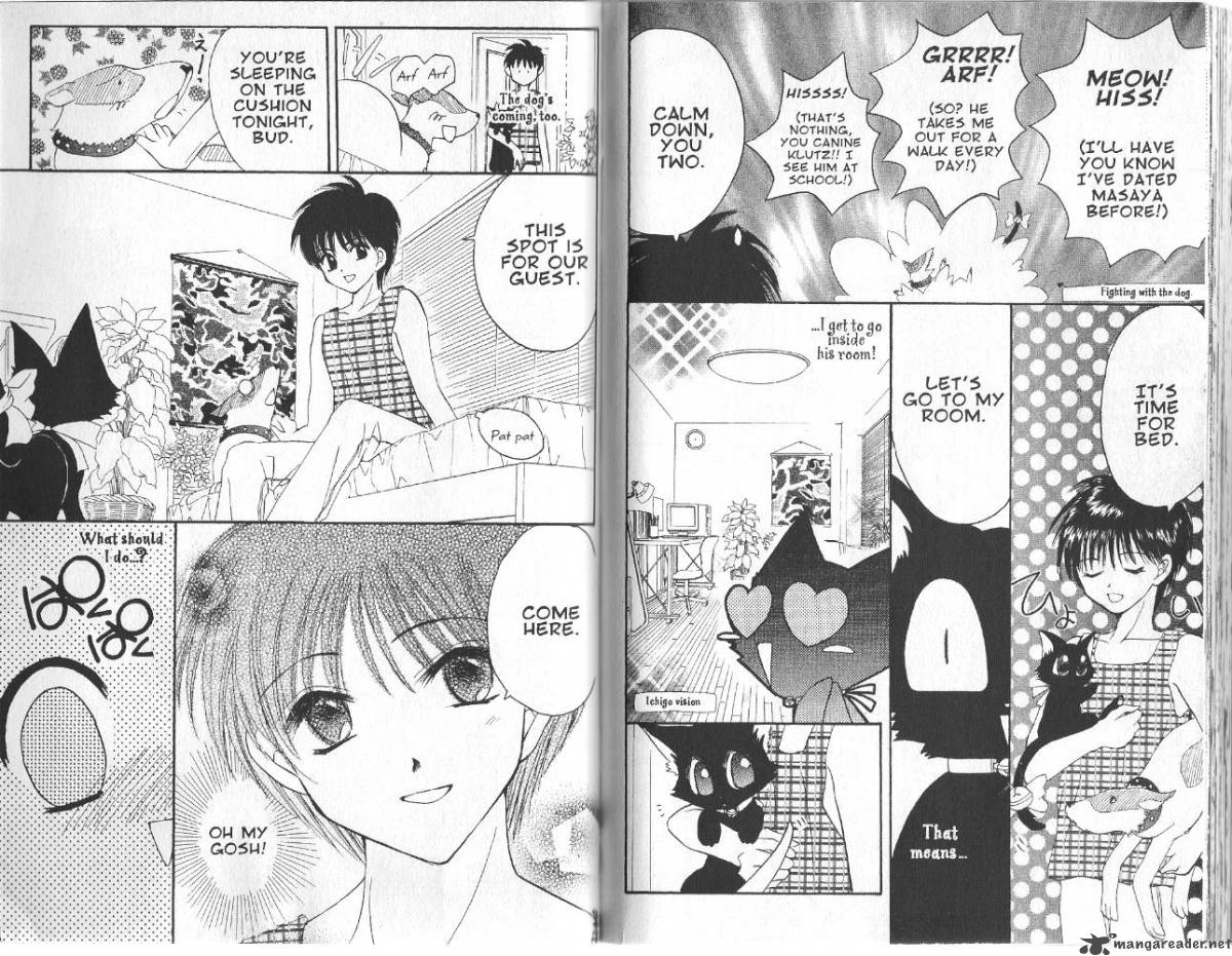 Tokyo Mew Mew 13 12