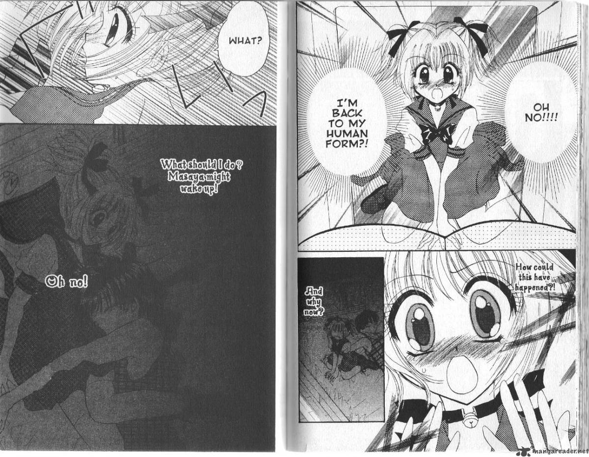 Tokyo Mew Mew 13 15