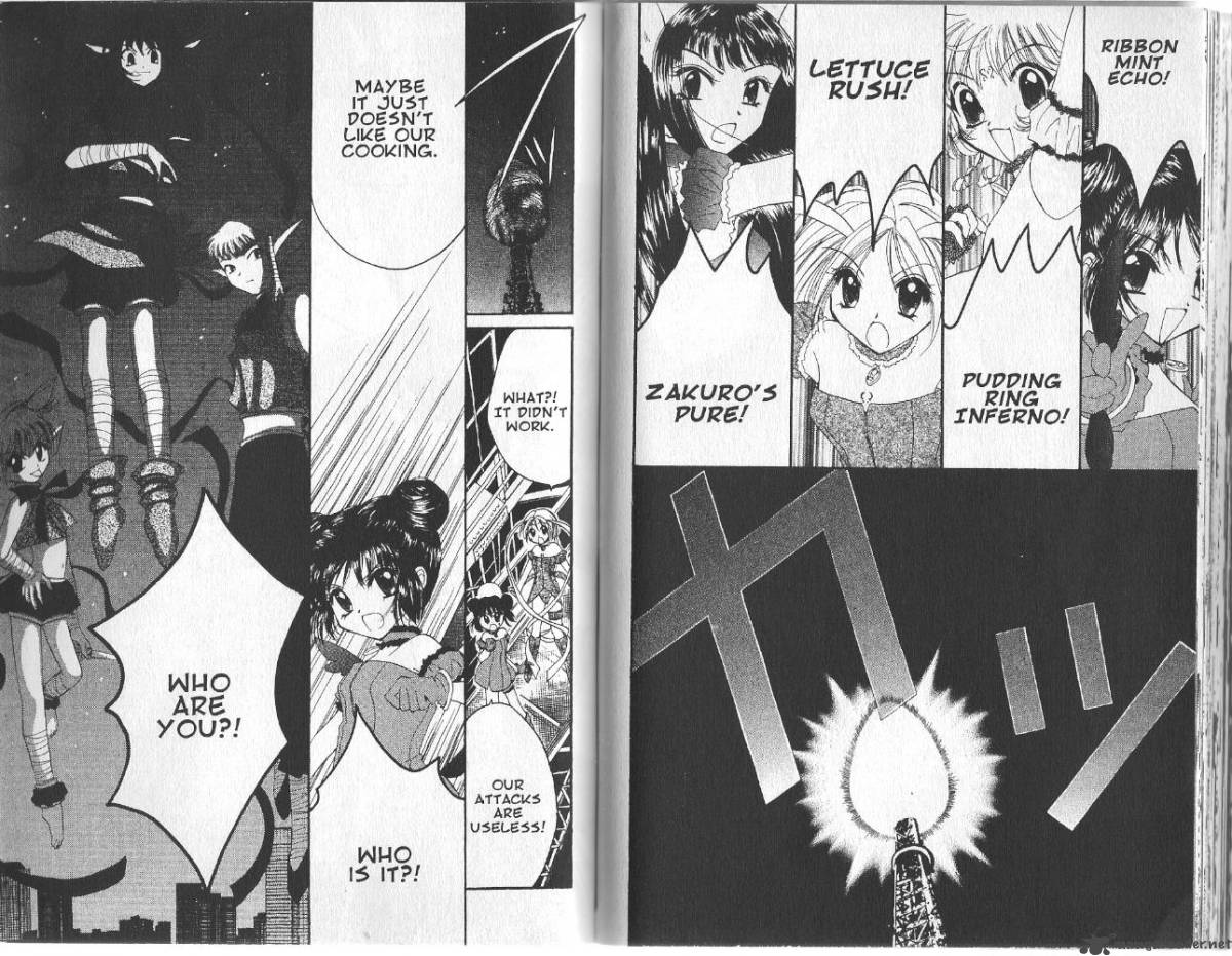 Tokyo Mew Mew 13 5