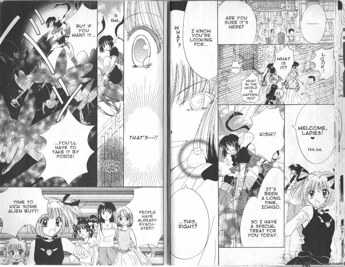 Tokyo Mew Mew 15 14