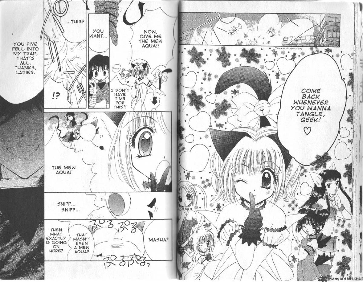 Tokyo Mew Mew 15 19