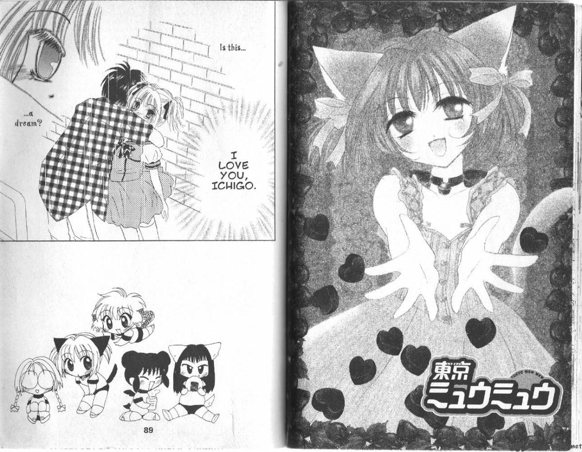 Tokyo Mew Mew 16 22