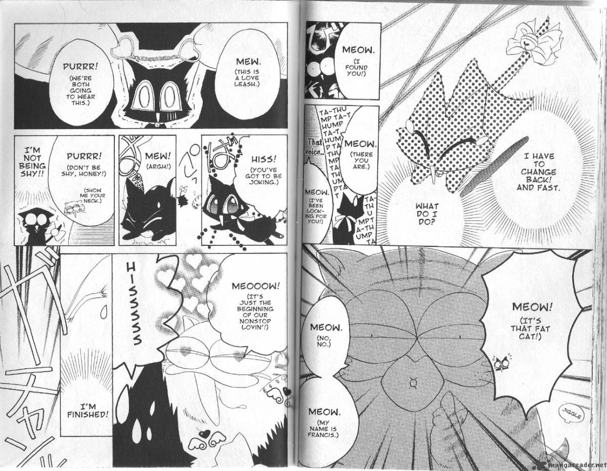 Tokyo Mew Mew 17 14