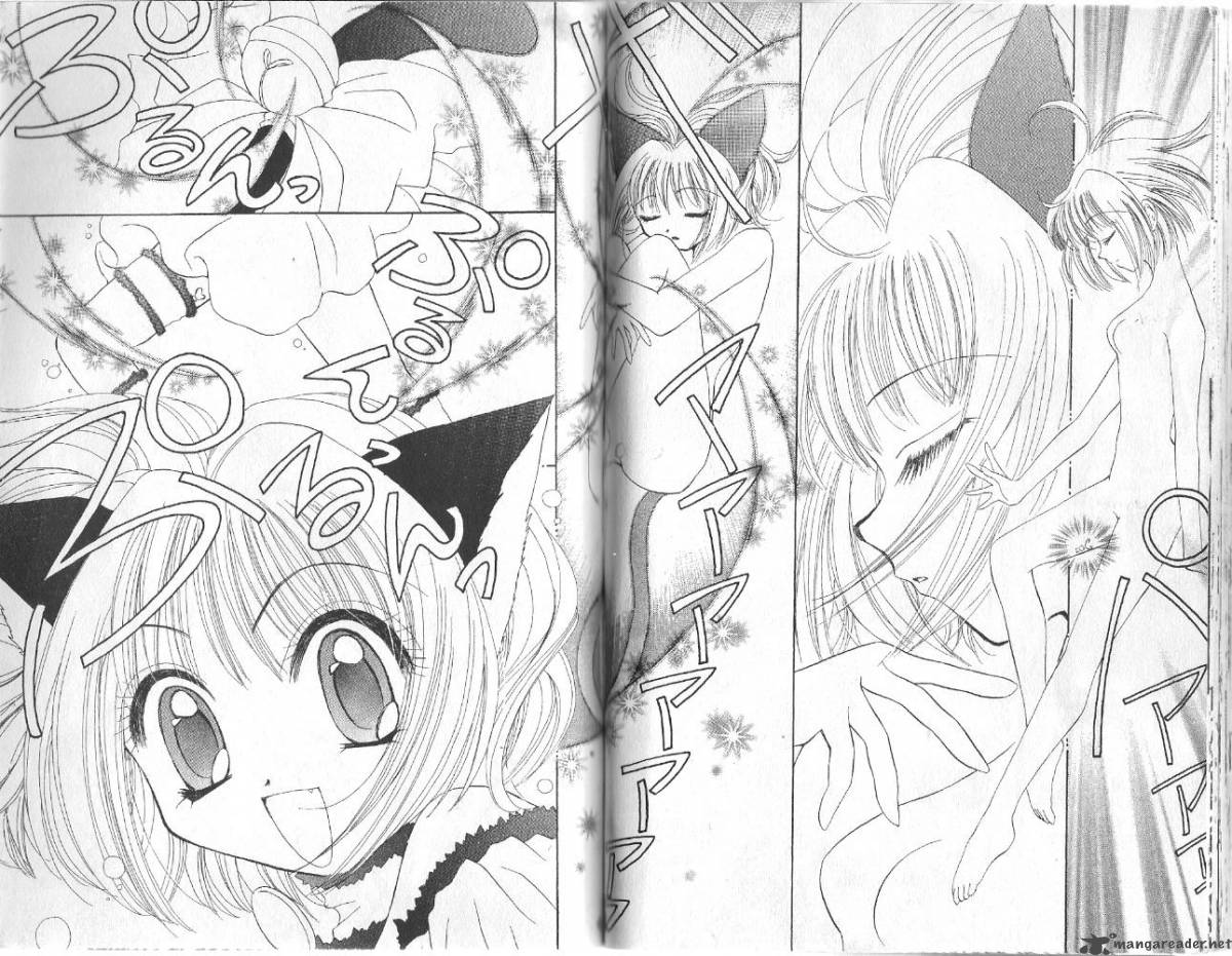 Tokyo Mew Mew 17 19