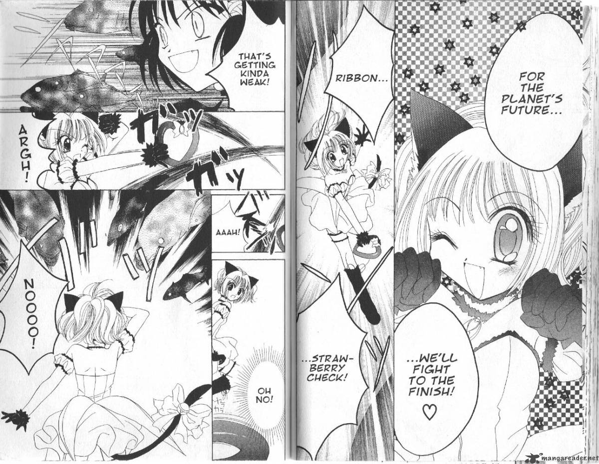 Tokyo Mew Mew 17 20