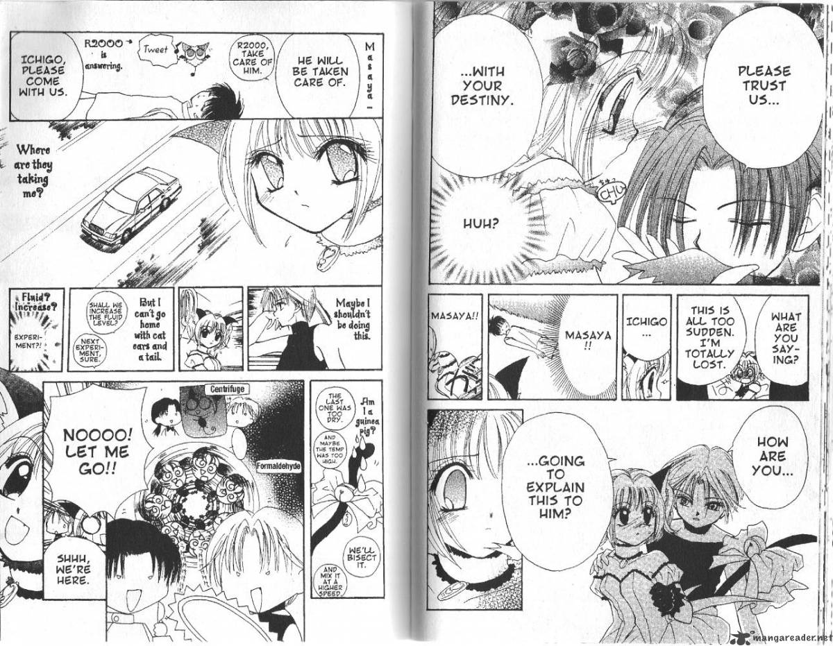 Tokyo Mew Mew 2 2