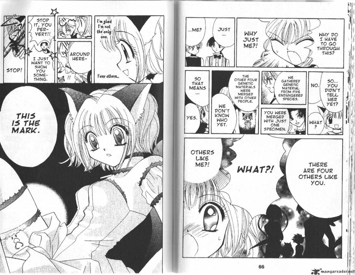 Tokyo Mew Mew 2 5