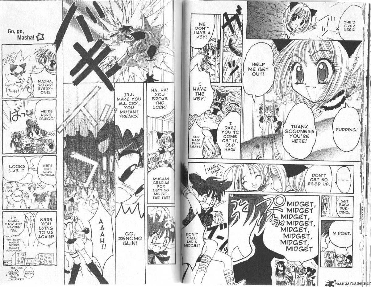 Tokyo Mew Mew 20 11