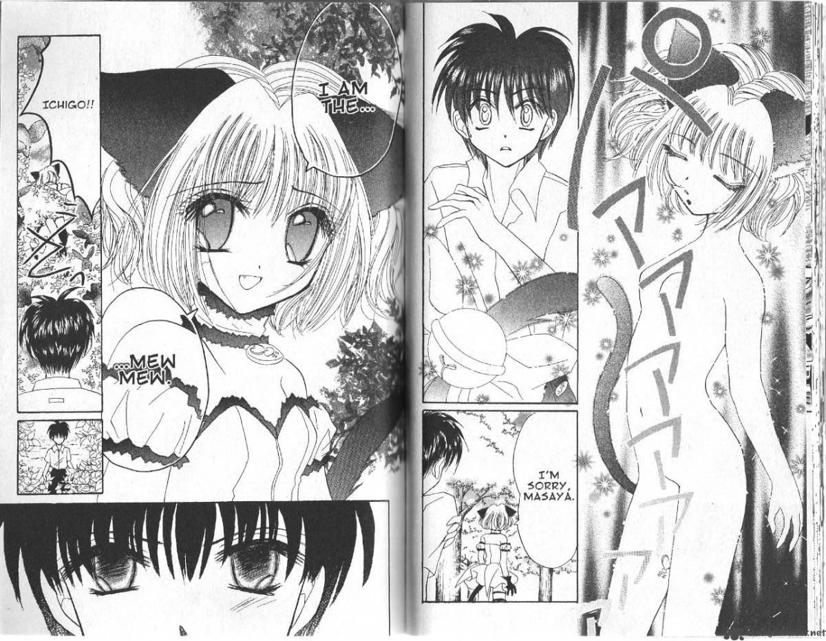 Tokyo Mew Mew 21 9