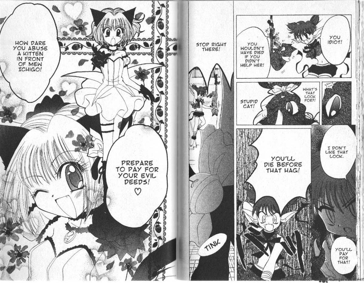 Tokyo Mew Mew 22 18