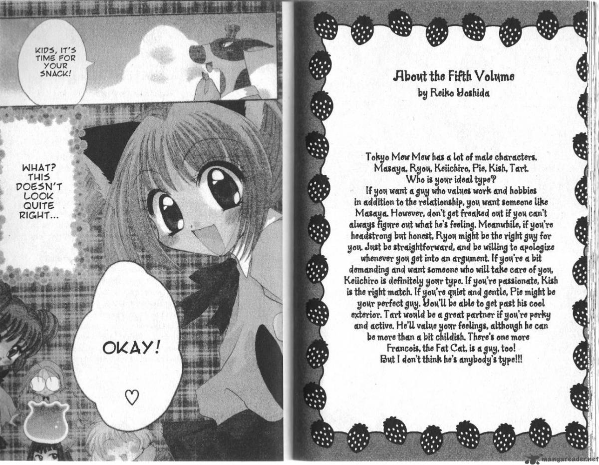 Tokyo Mew Mew 22 21