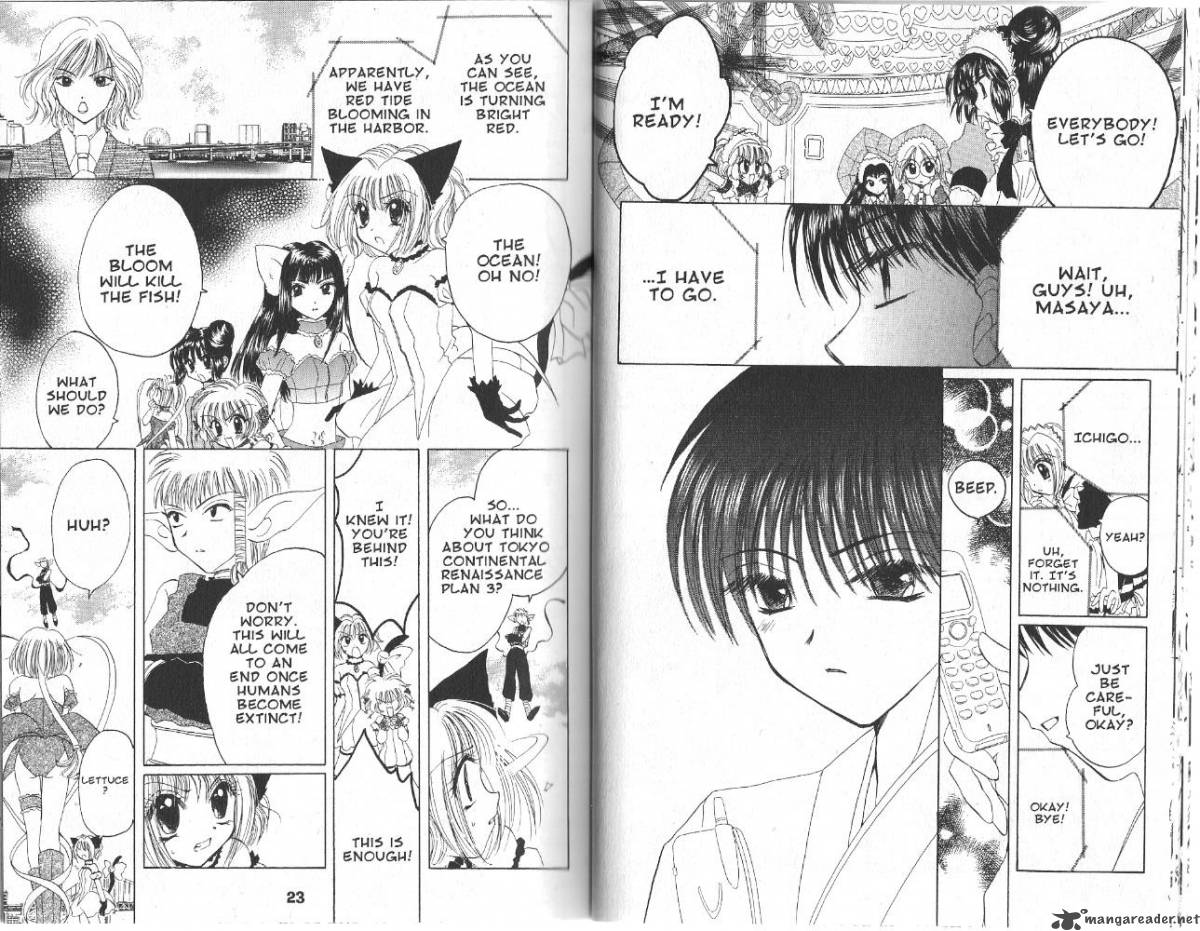 Tokyo Mew Mew 24 13