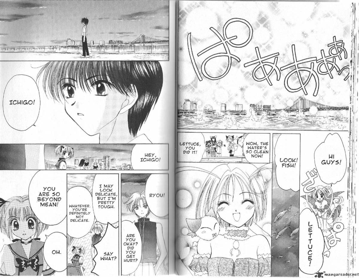 Tokyo Mew Mew 24 19