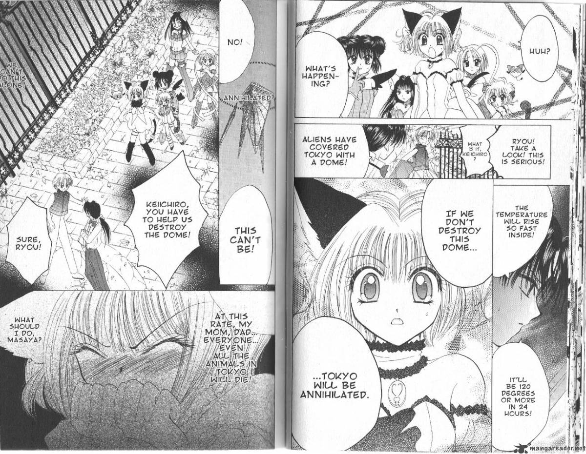 Tokyo Mew Mew 25 15