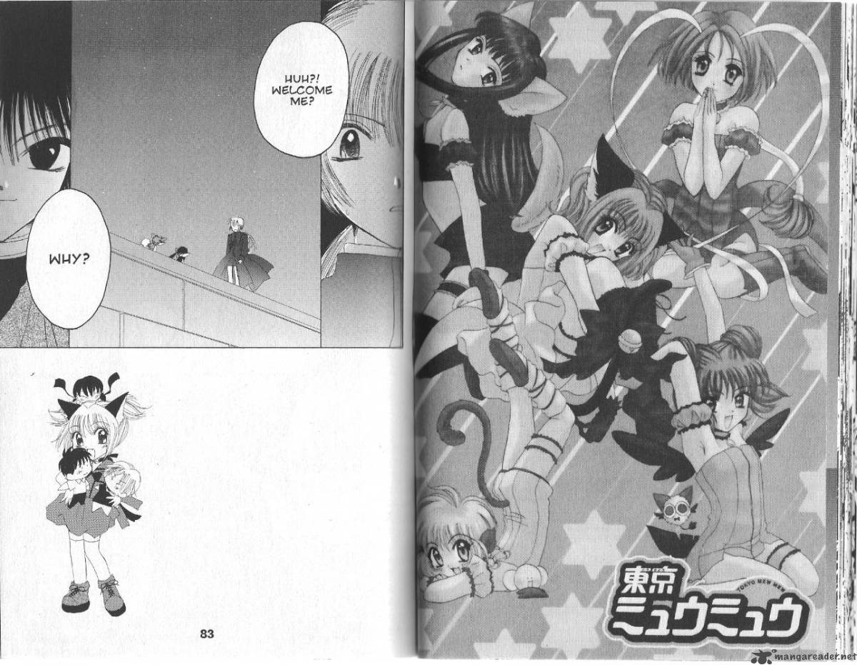 Tokyo Mew Mew 25 20