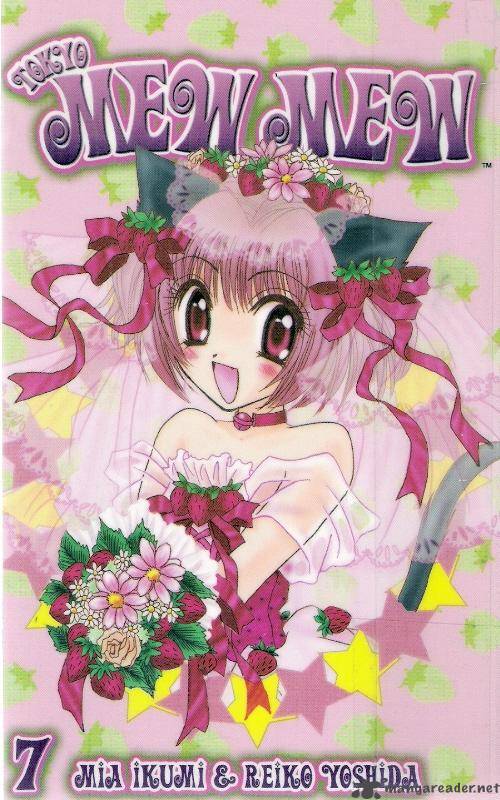 Tokyo Mew Mew 29 1