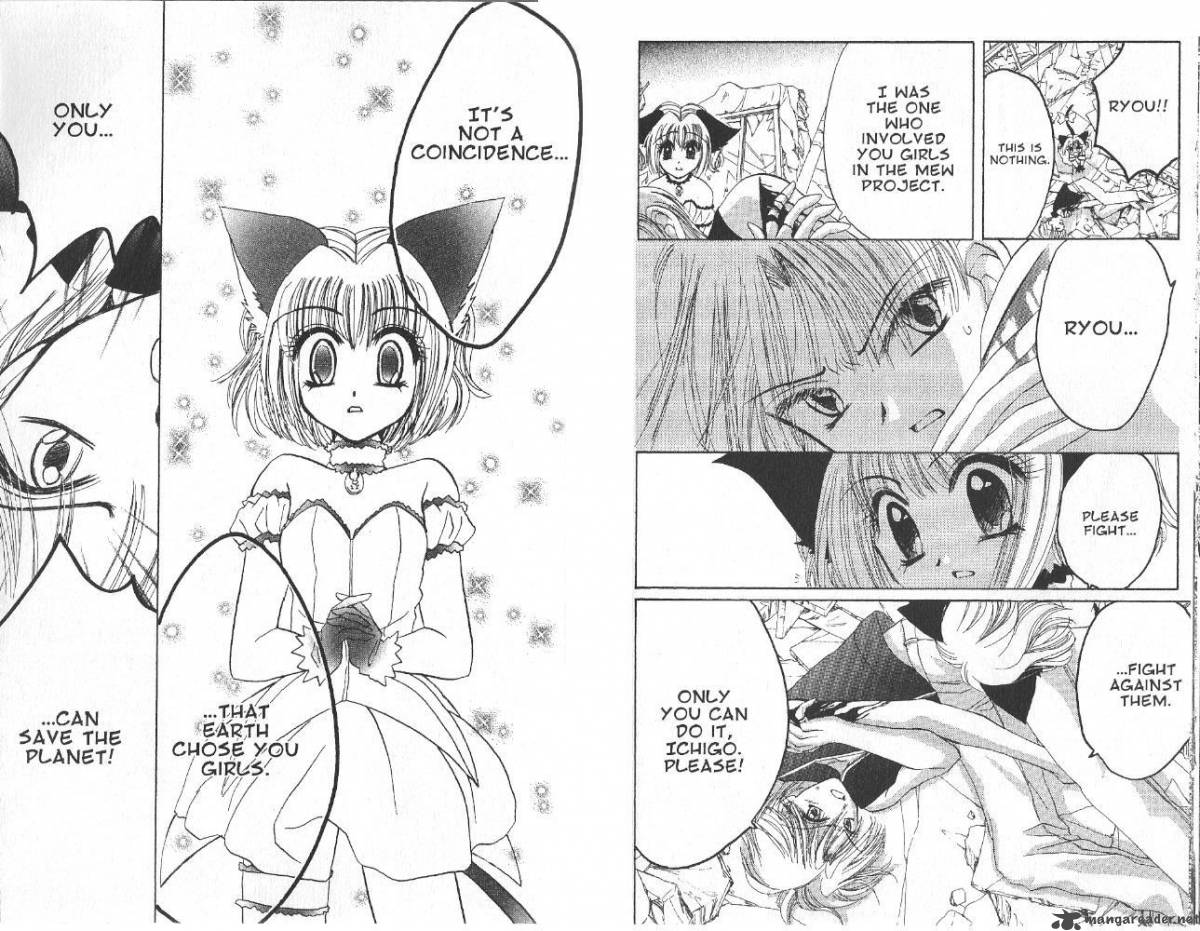 Tokyo Mew Mew 29 20