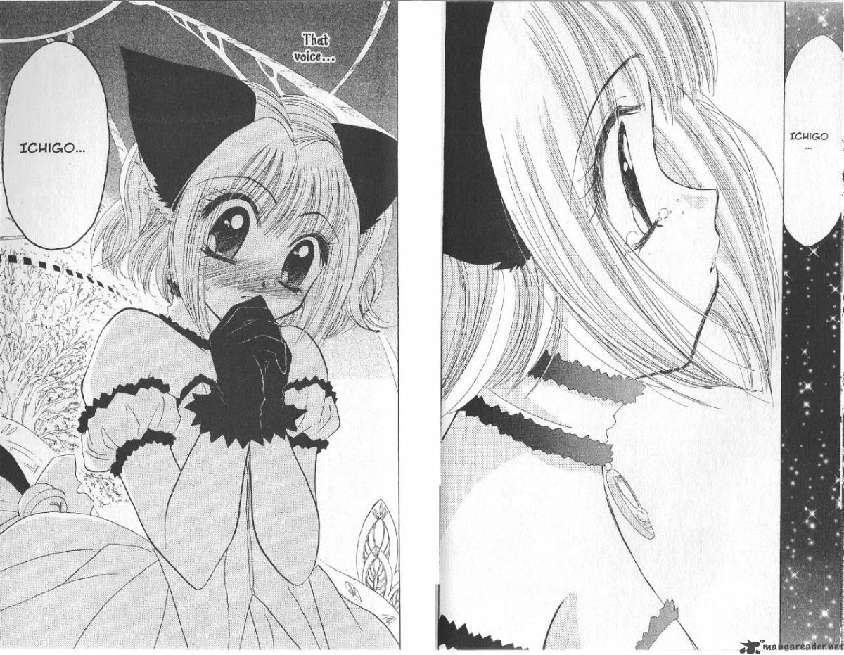 Tokyo Mew Mew 30 19