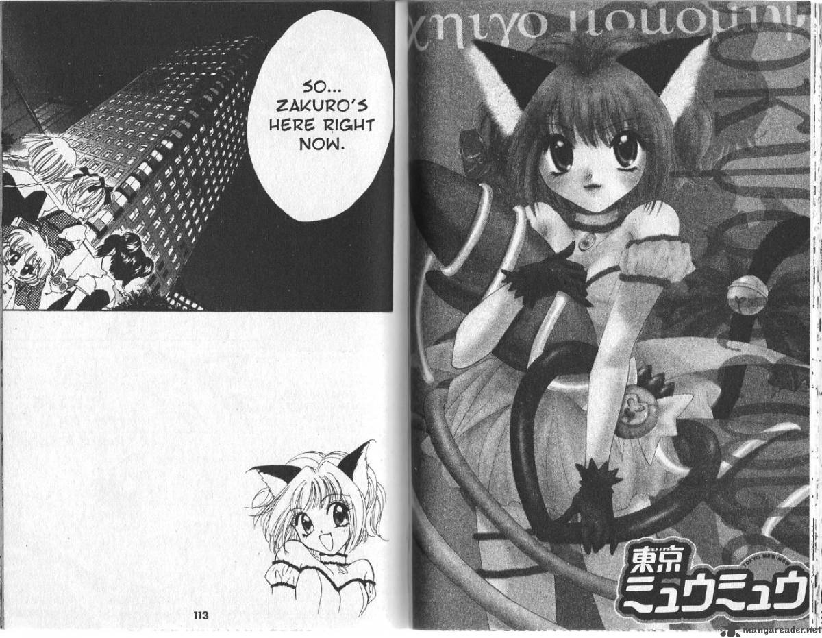 Tokyo Mew Mew 7 16