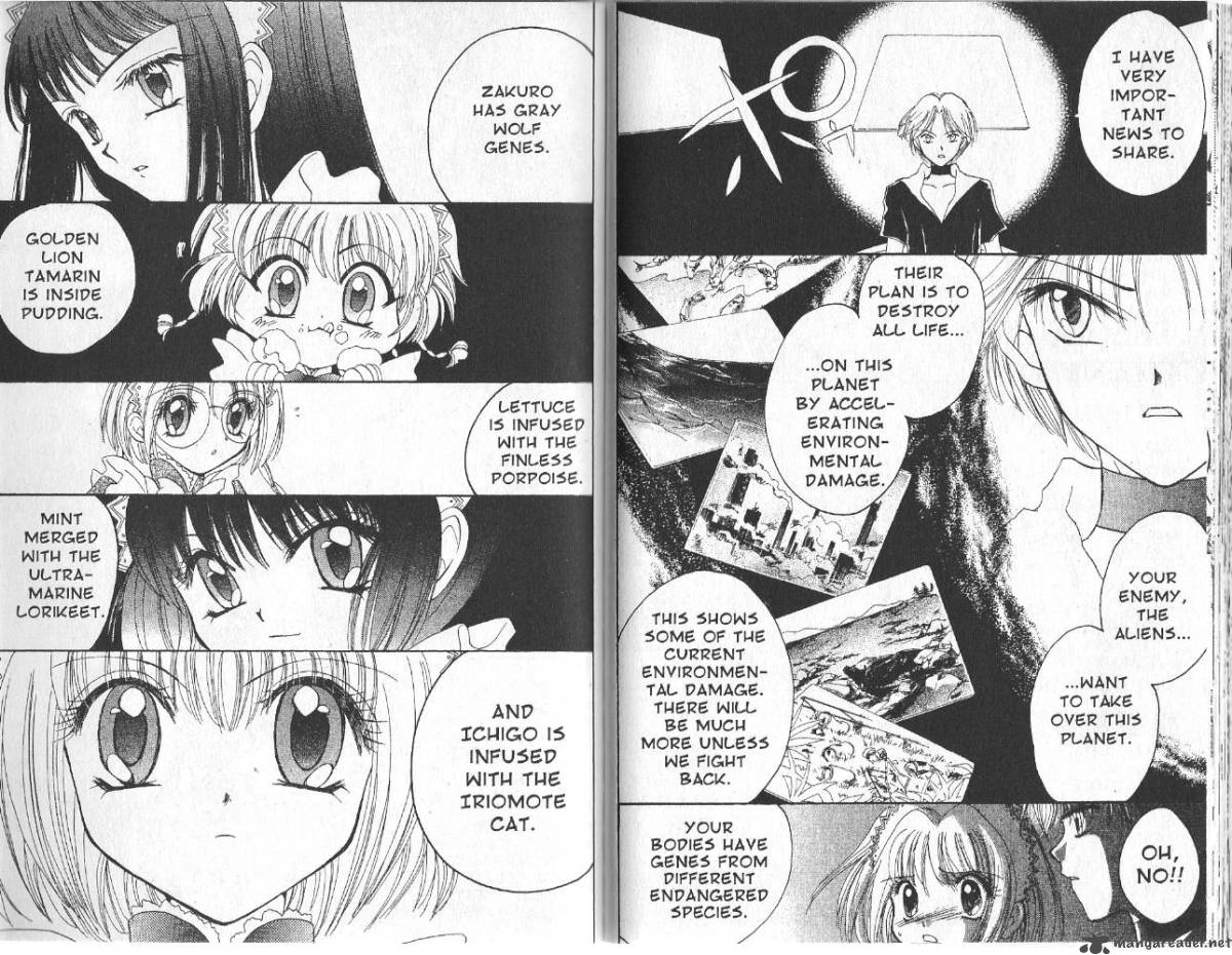 Tokyo Mew Mew 9 7