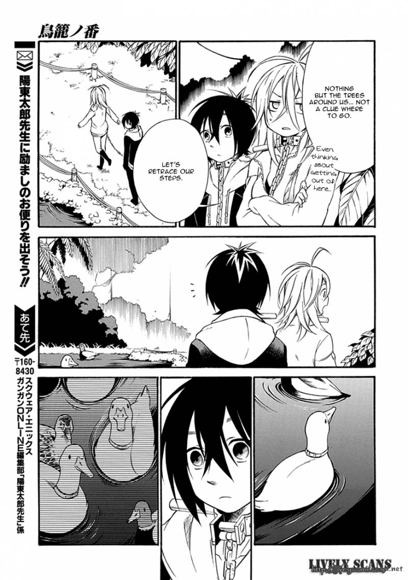Torikago No Tsugai 12 31